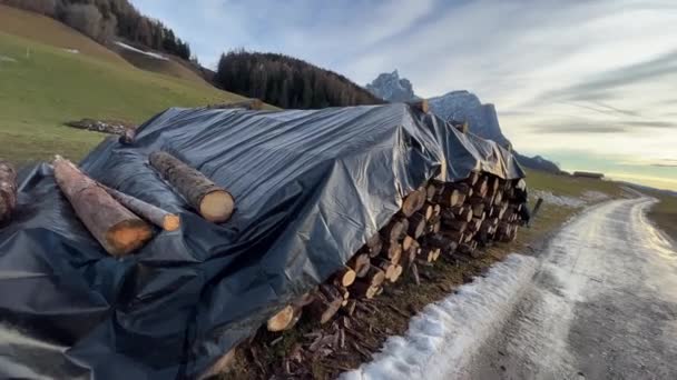 Logs Madeira Cortada Invernada Nas Montanhas — Vídeo de Stock
