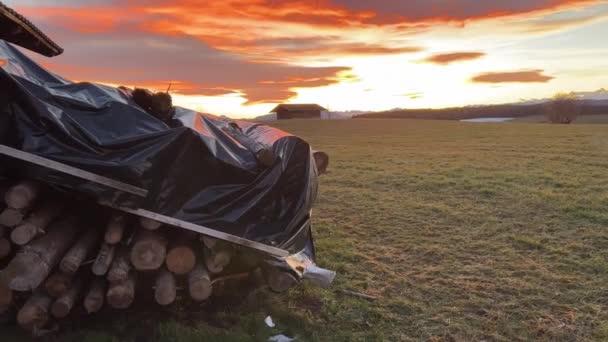 Sunset Illuminates Wooden Trunks Collected Covered Bag — Stockvideo