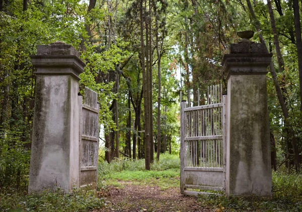Old Gate Middle Forest — Stock Photo, Image