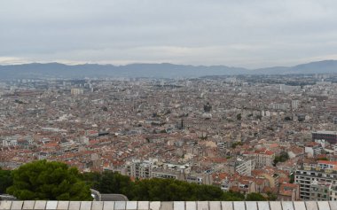 Evlerin çalılıklarına bak.