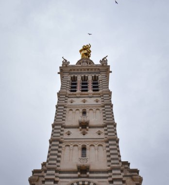 Uçan kuşlar etrafta uçuşuyor, bayan.