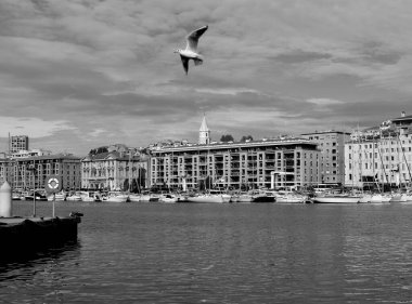 Limanın üzerinde uçan martı.