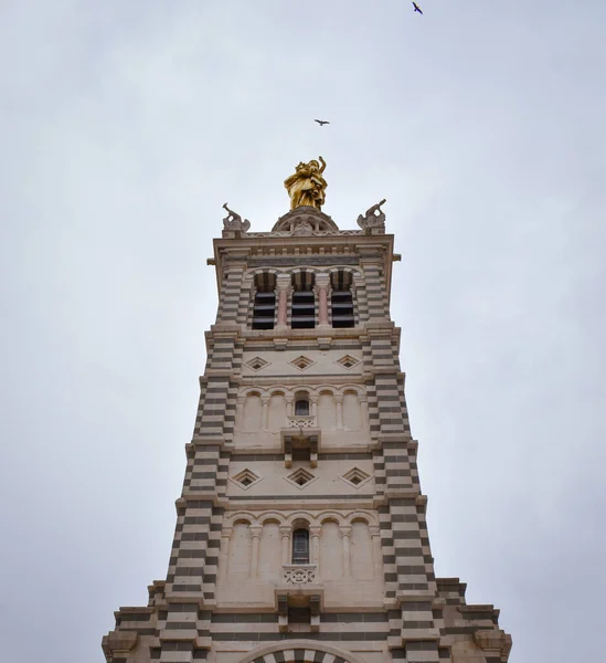 Uçan kuşlar etrafta uçuşuyor, bayan.