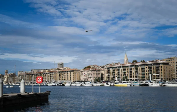 Gaivota Voando Sobre Porto — Fotografia de Stock