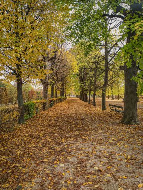 Road section in the castle park