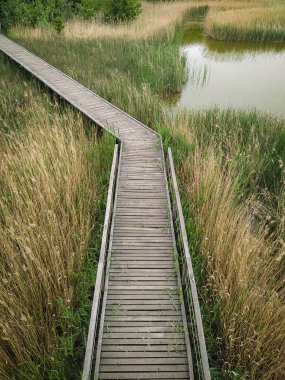 A path made of wood among the reeds