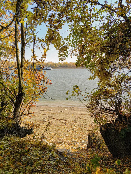 A wonderful view of the Danube shore among the autumn trees
