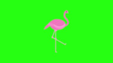 Yeşil ekran hayvanlar kraliyet hisse senedi