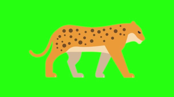 Зелёный Экран Животных Роялти — стоковое видео
