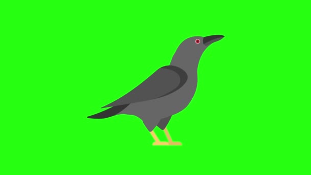 緑の画面の動物のロイヤリティフリーストック映像 — ストック動画