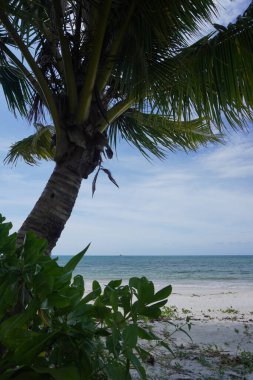 Doğal Güzel Plaj-4. Belitung Adası 'nda, Endonezya' da nereye giderseniz gidin cennet gibi güzel plajlar sizi nazikçe karşılayacaktır.