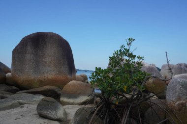 Güzel Rocky Sahili. Endonezya Belitung Adası 'ndaki tüm güzel plajlar büyük granit taşlarla süslenmiştir..