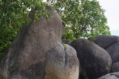 Güzel Rocky Sahili. Endonezya Belitung Adası 'ndaki tüm güzel plajlar büyük granit taşlarla süslenmiştir..