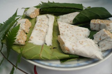 Endonezya Geleneksel Gıda 'Tempe'. Tempe Endonezya halkının en sevdiği yemek malzemelerinden biridir. Mayalanmış soya fasulyesinden yapılmış. Ayrıca, çeşitli işlenmiş yiyecekler de yapılabilir..