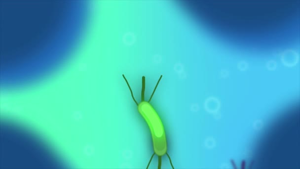 Bakterien Infizierten Menschlichen Organismus — Stockvideo