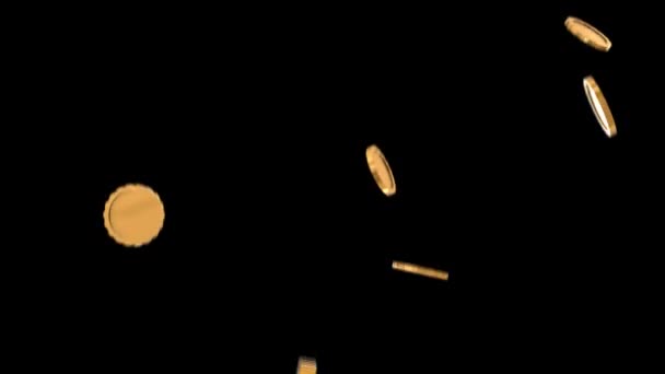 Gold Coins Falling Animation — Stock Video