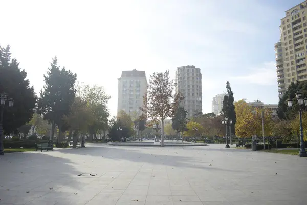 Sonbahar Ağaçları ve Binalarıyla Şehir Meydanı