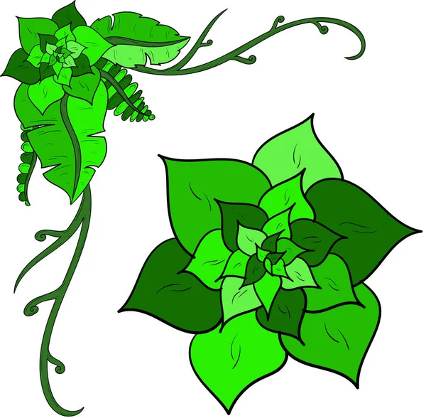植物装饰 着陆页和附加设计组件的绿色植物物体图解 — 图库照片