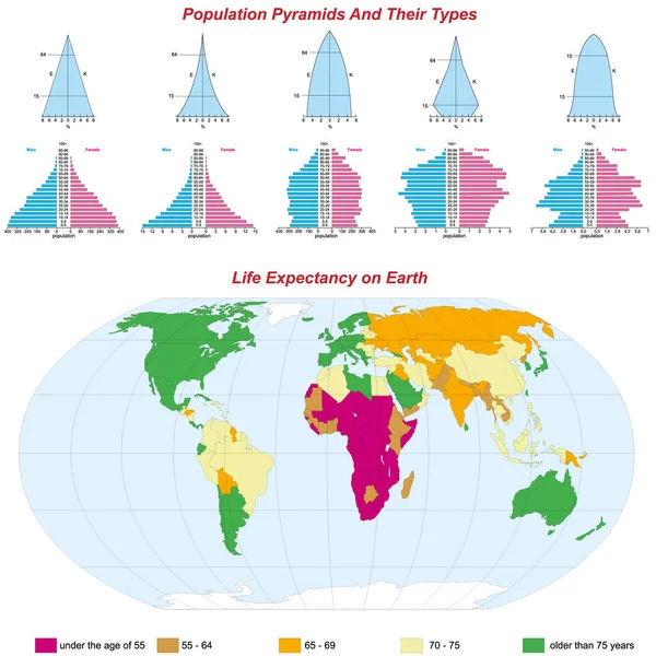 stock vector Population Pyramids And Their Types, Life Expectancy on Earth