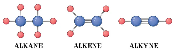 Alkil Alkén Alkin Képződésének Rajza Etilén Acetilénnel — Stock Vector