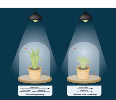 Greenhouse effect. Variation in the growth response of plants to an elevated ambient CO2 concentration. Glass clipart