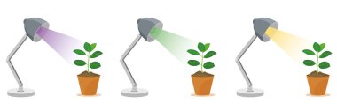 Biology, Biology experiment, Plant experiment Light media, light environment, plant growth, reaction, result, Next generation, question, for teacher, editable. Light and reflection science course clipart