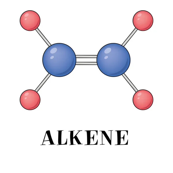 アルケン化合物は 4つの水素原子に結合した2つの炭素原子からなる エチレンという二重結合を持つC2H4です 3D図面 — ストックベクタ