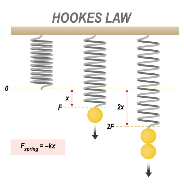 虎克定律 弹簧力 重量方程和弹性变形弹簧的数学实验 矢量图解 标签式信息教育 — 图库矢量图片