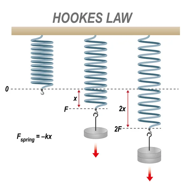 Hookes Törvény Fizika Tavaszi Erő Súly Egyenlet Matematikai Kísérlet Rugalmas — Stock Vector