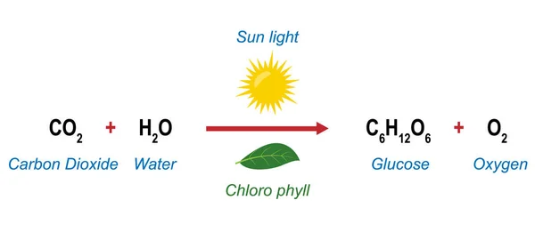 equation-for-photosynthesis
