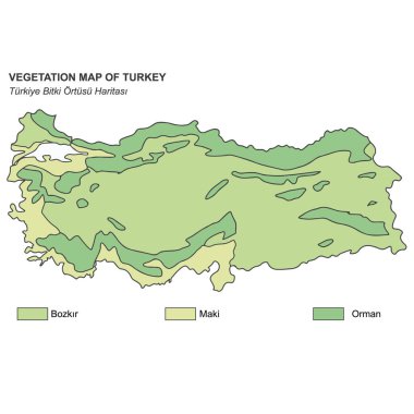 Hindinin bitki örtüsü (bozkır, çalılık, orman))