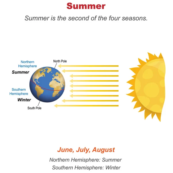Die Bildung Der Jahreszeiten Der Sommer Ist Die Zweite Der — Stockvektor