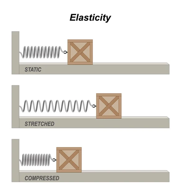 Loi Crochet Énergie Potentielle Élastique Flexibilité Potentiel Énergie Cinétique Conversion — Image vectorielle