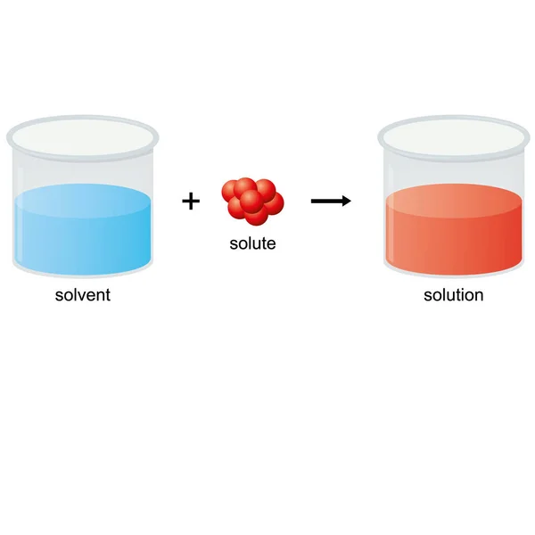 Esquema Solubilidade Química Diagrama Solvente Solução Ilustração Vetorial —  Vetores de Stock