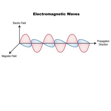 Elektrik ve manyetik alanlardan oluşan elektromanyetik dalganın vektör bilimsel çizimi. Dalga boyu, genlik, frekans. Radyo dalgaları, ışık. Beyaz arka planda izole edilmiş yayılma görüntüsü.