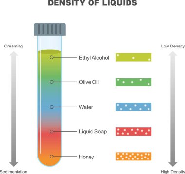 Sıvı vektör illüstrasyonunun yoğunluğu. Krema ve tortu. Sıvı ve çözeltinin kendi karakteristik yoğunluğu vardır. Öğrenciler ve öğretmenler için genel fizik.
