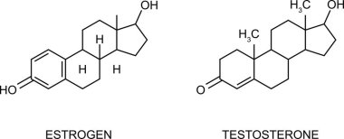 Testosteron ve estradiol ikonları. Kimyasal moleküler yapı. Beyaz arka planda steroid erkek seks hormonu belirtileri var..