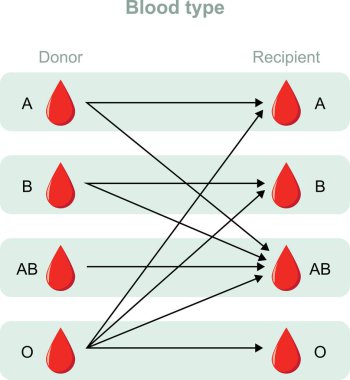 Alıcı ve Donör. Kan bağışlamak ve almak için gruplar arasında uyumluluk. Tıbbi, eğitici ve bilimsel kullanım için vektör diyagramı.