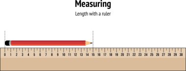 Uzunluk ölçümü. Miktarların karşılaştırılması. Cetvel kullanan nesneler. Kalem boyu taban çizgisi. Bilim eğitici. Matematik, geometri.