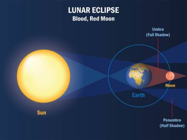 Ay tutulması, diyagram. Ay, Dünya 'nın gölgesine düştüğünde ay tutulması meydana gelir. Ay yörüngesi. Kızıl kanlı ay. Vektör illüstrasyonu.