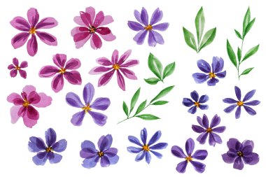 Bir sürü suluboya çiçek. Klip sanatı. Dekor için elementler. Albüm koleksiyonu. Düğün için. Tatillerde. Davetiyeler. Pembe suluboya çiçekler. - Violet. Yeşil suluboya yapraklar. Doku.
