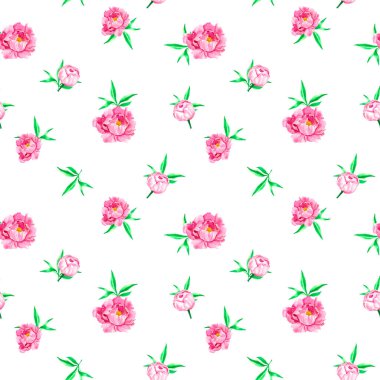 Şakayıkların el çizimi suluboya deseni. Pembe çiçekler. Bahar. Suluboya şakayık. Kumaş izi. Ev yapımı tekstil. Tekstil. Çiçeksiz desen.