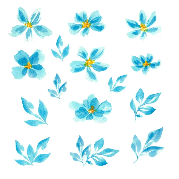 Set of painted blue watercolor flowers. Clip art. Elements for decor. Monochrome floral set. Spring. Blue flowers. Isolated on a white background.