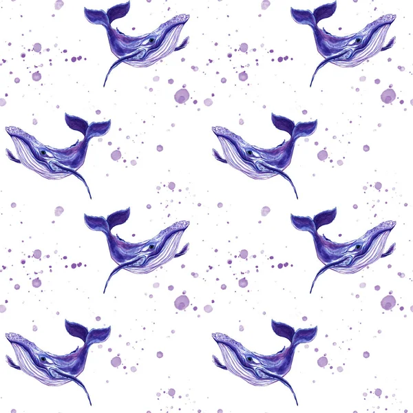 Painted watercolor whale. Whale pattern. Seamless nautical print. Textile. White background. Ocean. Marine theme. Home textiles. Print for clothes.
