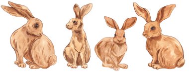 Set of hand drawn watercolor ginger rabbits. Clip art. Decor. Wild animals. Hare. Spring. Happy Easter. Easter watercolor rabbit. Religion. Traditions. Printing house.