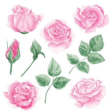 Güller pürüzsüz gül desenli. Pembe güller. Çiçekler, çiçekler. İç mekan. Ev yapımı tekstil. Temizlik kitabı. Duvar kağıdı. Gül rengi. Suluboya, doku. vintage