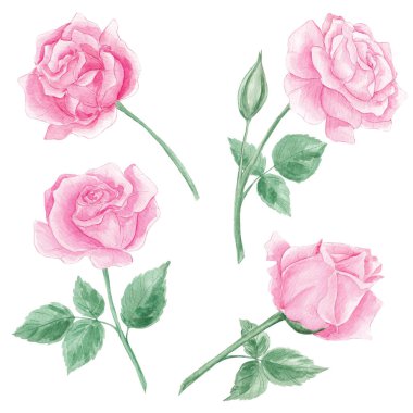 Güller pürüzsüz gül desenli. Pembe güller. Çiçekler, çiçekler. İç mekan. Ev yapımı tekstil. Temizlik kitabı. Duvar kağıdı. Gül rengi. Suluboya, doku. vintage