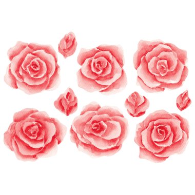 Kırmızı güller. Suluboya güller. Doku. Albüm koleksiyonu. Tasarım. Dekorasyon için hazır. Çiçek aranjmanı. Klip sanatı. Suluboya çiçekler. Sevgililer Günü. 14 Şubat. Güllerin kalbi. Kenarlık.