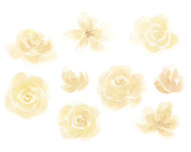 Gül çelenkleri, suluboya güller. Doku. Çiçek aranjmanı. Çiçekler. Kartpostallar için dekor. Klip sanatı. Düğün, tatil davetiyesi. Bayram etkinliği. Dekorasyon, hatıra defteri.