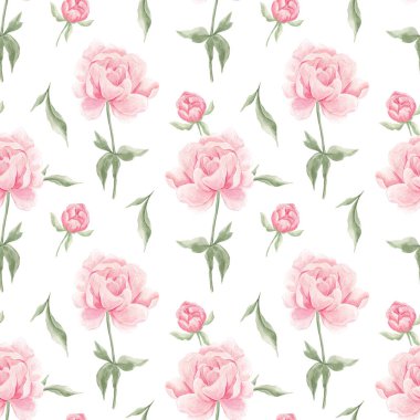 Kusursuz şakayık deseni. Suluboya pembe şakayıklar. Ev yapımı. Kumaş için baskı. Albüm koleksiyonu. Kumaş. Narin çiçek deseni, bahar. Mayıs. Şakayıklar çiçek açıyor.